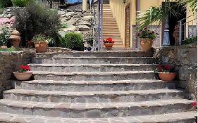 Bed And Breakfast Uliveto Garden